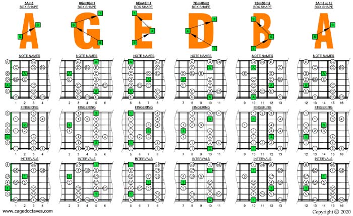 AGEDB octaves A minor blues scale box shapes