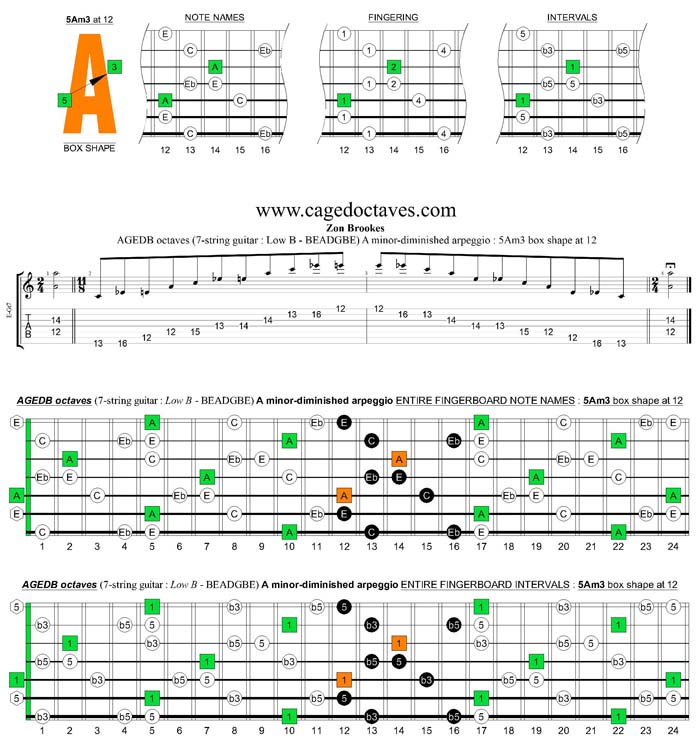 AGEDB octaves A minor-diminished arpeggio : 5Am3 box shape at 12