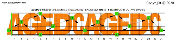 CAGED octaves fingerboard : C natural octaves