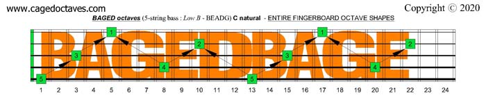 BAGED octaves fingerboard : C natural octaves