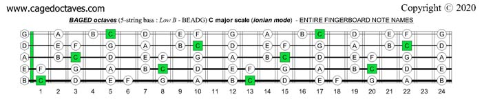 BAGED octaves fingerboard C major scale notes