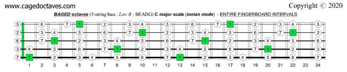 BAGED octaves fingerboard C major scale intervals