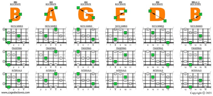 BAGED octaves (5-string bass: Low B - BEADG) - C major-minor arpeggio box shapes