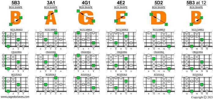 C major blues scale (5-string bass: Low B - BEADG) box shapes