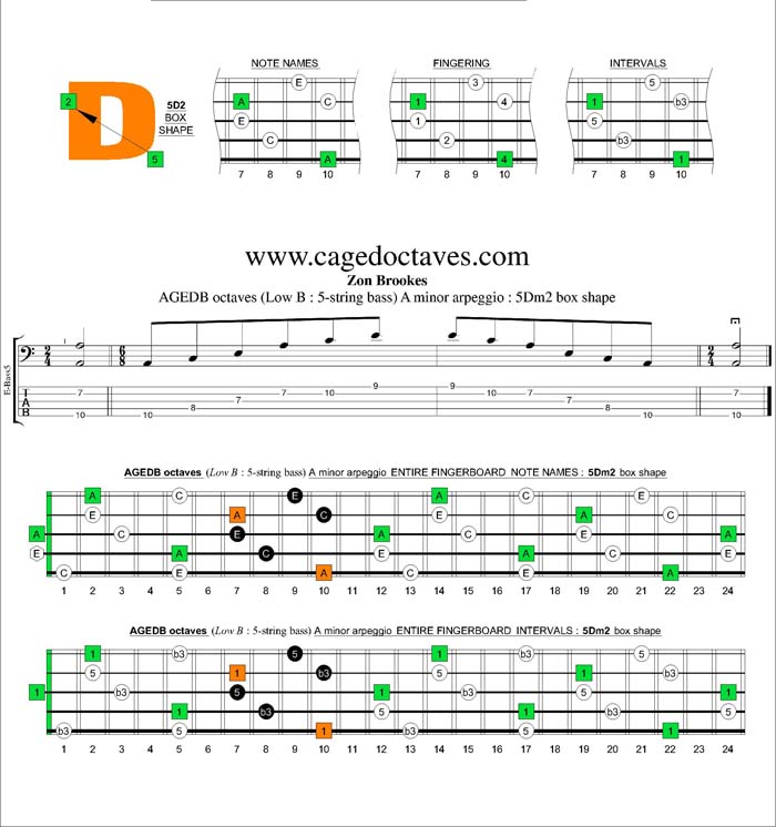 AGEDB octaves A minor arpeggio : 5Dm2 box shape