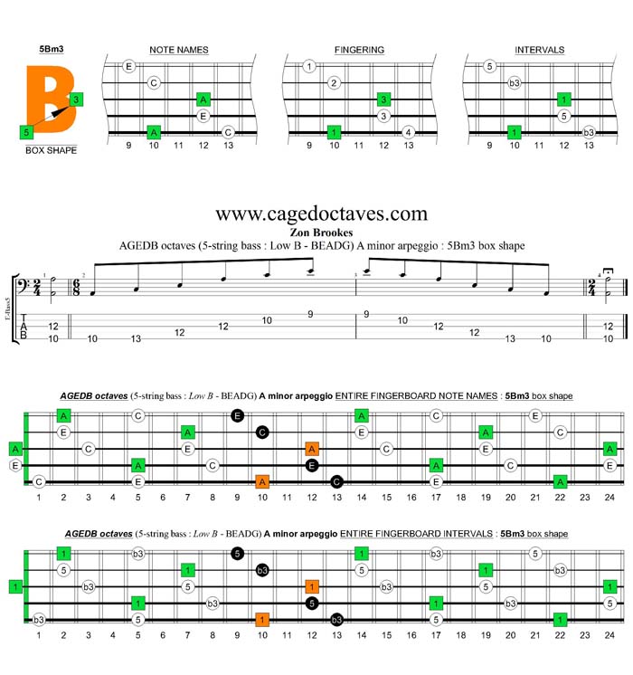 AGEDB octaves A minor arpeggio : 5Bm3 box shape