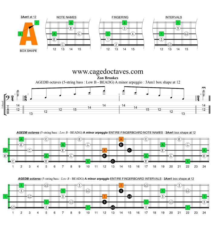 AGEDB octaves A minor arpeggio : 3Am1 box shape at 12