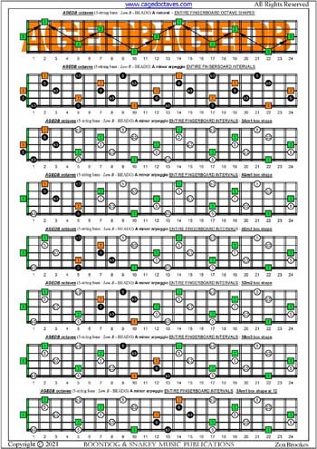 AGEDB octaves A minor arpeggio box shapes : entire fretboard intervals