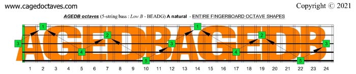 AGEDB octaves fingerboard : A natural octaves