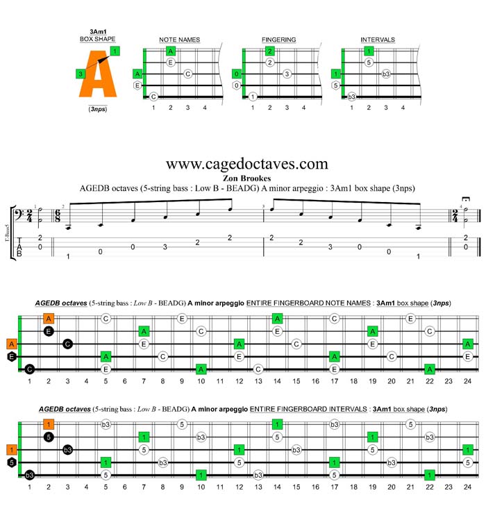 AGEDB octaves A minor arpeggio (3nps) : 3Am1 box shape