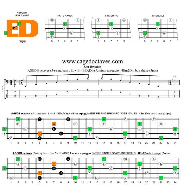 AGEDB octaves A minor arpeggio (3nps) : 4Em2Dm box shape