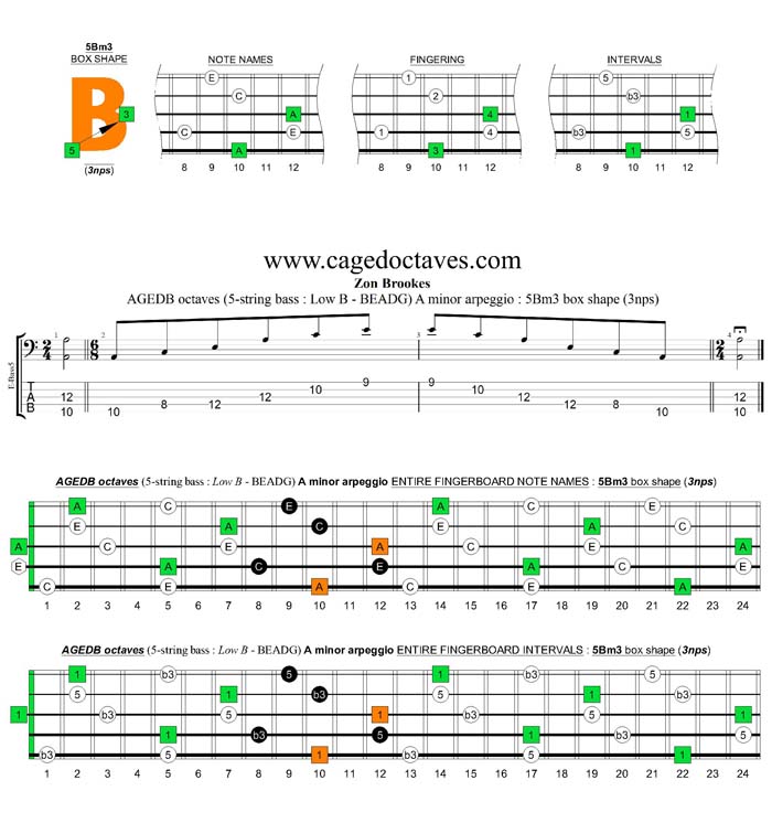 AGEDB octaves A minor arpeggio (3nps) : 5Bm3 box shape