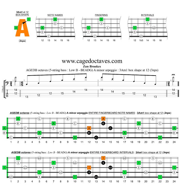 AGEDB octaves A minor arpeggio (3nps) : 3Am1 box shape at 12