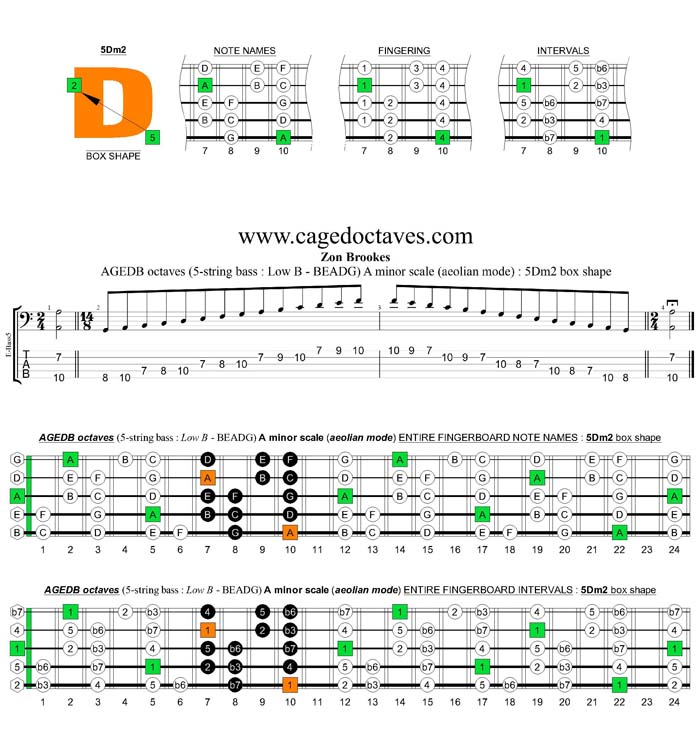 AGEDB octaves A minor scale : 5Dm2 box shape