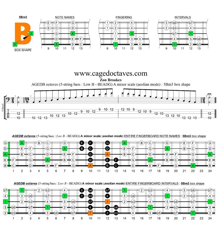 AGEDB octaves A minor scale : 5Bm3 box shape