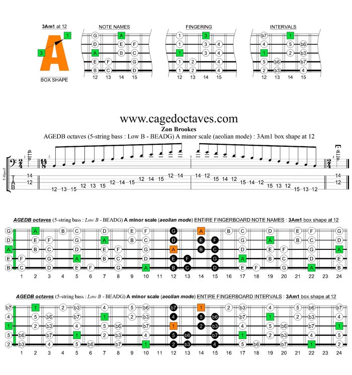 AGEDB octaves A minor scale : 3Am1 box shape at 12