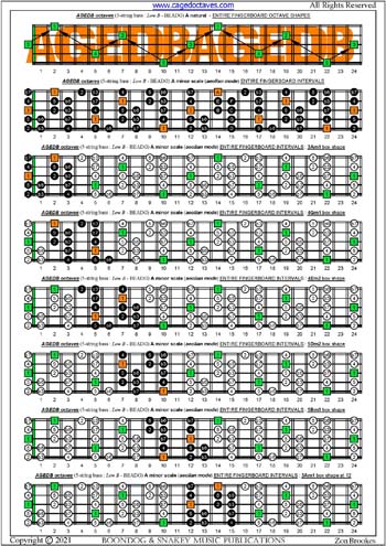 AGEDB octaves A minor scale (aeolian mode) box shapes : entire fretboard intervals