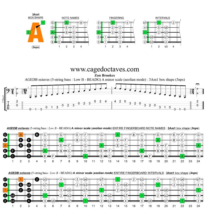 AGEDB octaves A minor scale (aeolian mode) 3nps : 3Am1 box shape