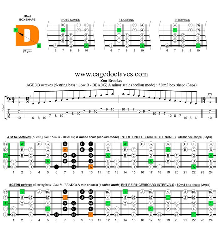 AGEDB octaves A minor scale (aeolian mode) 3nps : 5Dm2 box shape