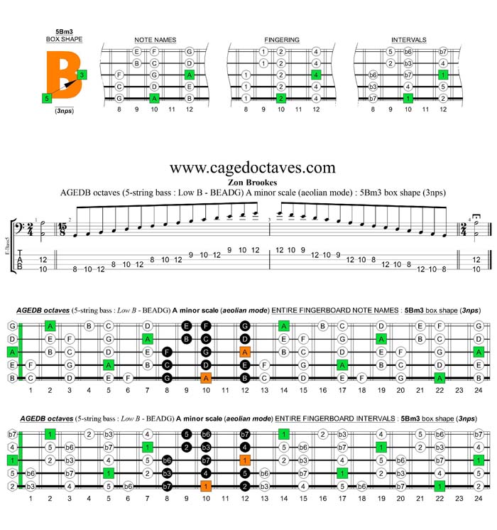 AGEDB octaves A minor scale (aeolian mode) 3nps : 5Bm3 box shape