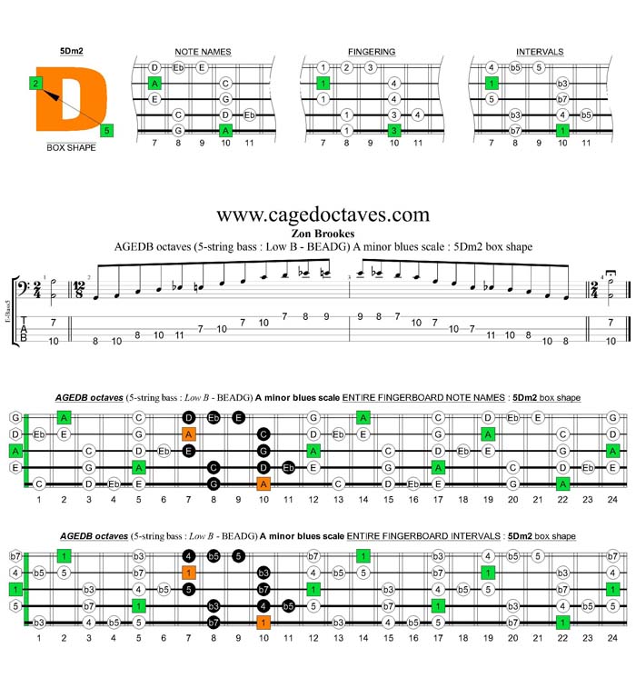 AGEDB octaves A minor blues scale : 5Dm2 box shape