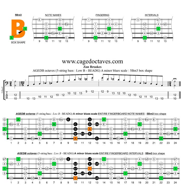 AGEDB octaves A minor blues scale : 5Bm3 box shape