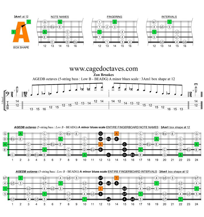 AGEDB octaves A minor blues scale : 3Am1 box shape at 12