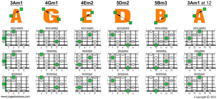 AGEDB octaves A minor blues scale box shapes