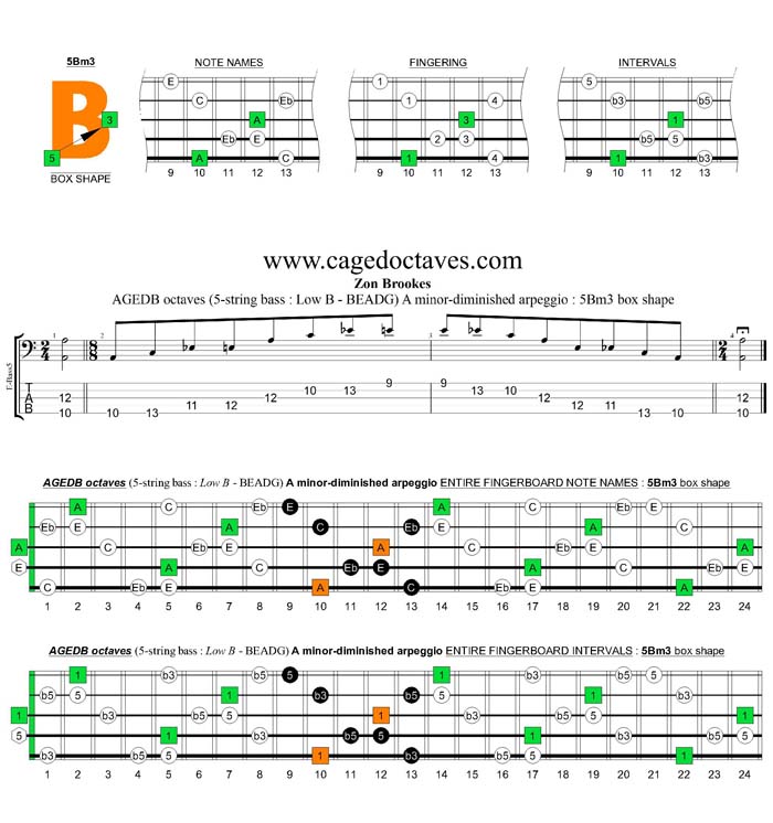 AGEDB octaves A minor-diminished arpeggio : 5Bm3 box shape