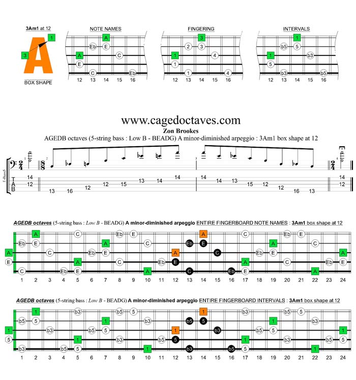 AGEDB octaves A minor-diminished arpeggio : 3Am1 box shape at 12
