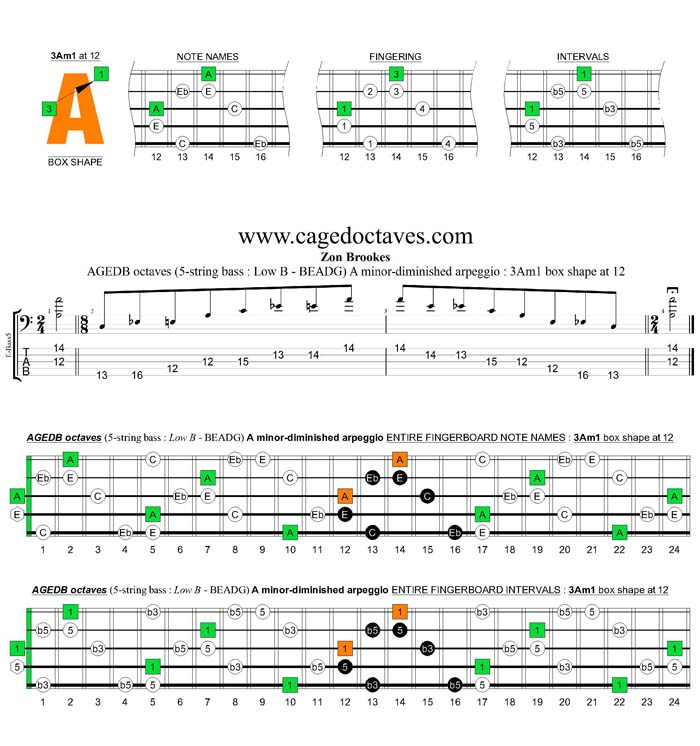 AGEDB octaves A minor-diminished arpeggio : 3Am1 box shape at 12