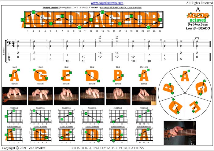 5-String Bass (Low B) : A natural octaves