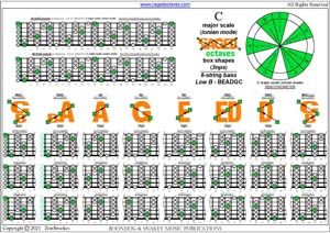 BCAGED octaves C major scale (ionian mode) 3nps box shapes pdf