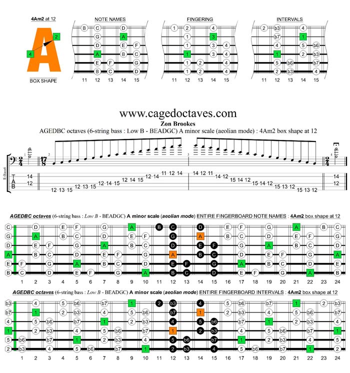 AGEDBC octaves A minor scale : 4Am2 box shape at 12