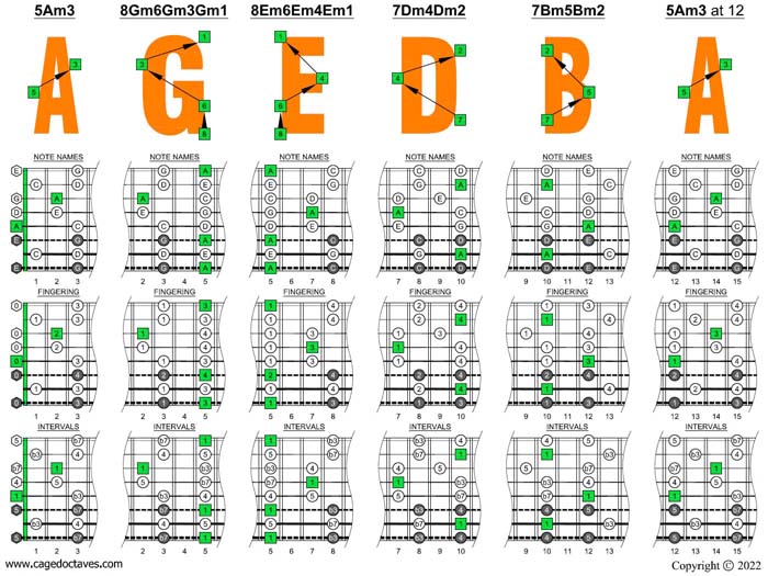 A pentatonic minor scale(8-string guitar: Drop E - EBEADGBE) box shapes