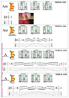 6Em4Em1 chord pdf