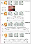 6Gm3Gm1 chord pdf