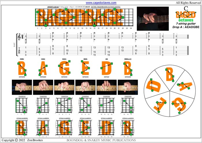 7-String Guitar (Drop A - AEADGBE) : C natural octaves