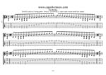 GuitarPro7 TAB  (7-string guitar : Drop A - AEADGBE) : C major scale (ionian mode)box shapes TAB pdf