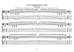 GuitarPro7 TAB  (7-string guitar : Drop A - AEADGBE) : C major scale (ionian mode)box shapes TAB pdf