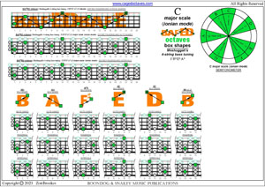 Meshuggah's 4-string bass tuning (FBbEbAb) C major scale (ionian mode) box shapes pdf