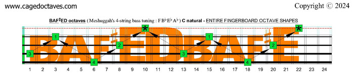 BAF#ED octaves fingerboard : C natural octaves