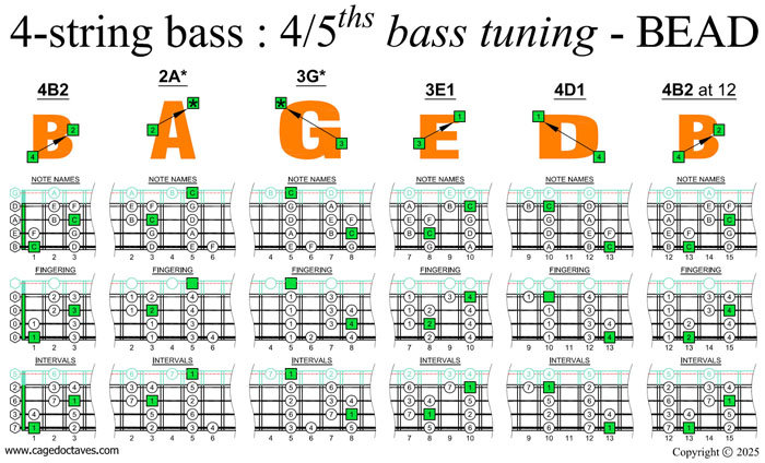 BAGED4BASS (4/5ths bass tuning - BEAD) C major scale (ionian mode) box shapes