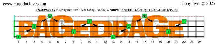 BAGED4BASS (4/5ths bass tuning - BEAD) fingerboard : C natural octaves