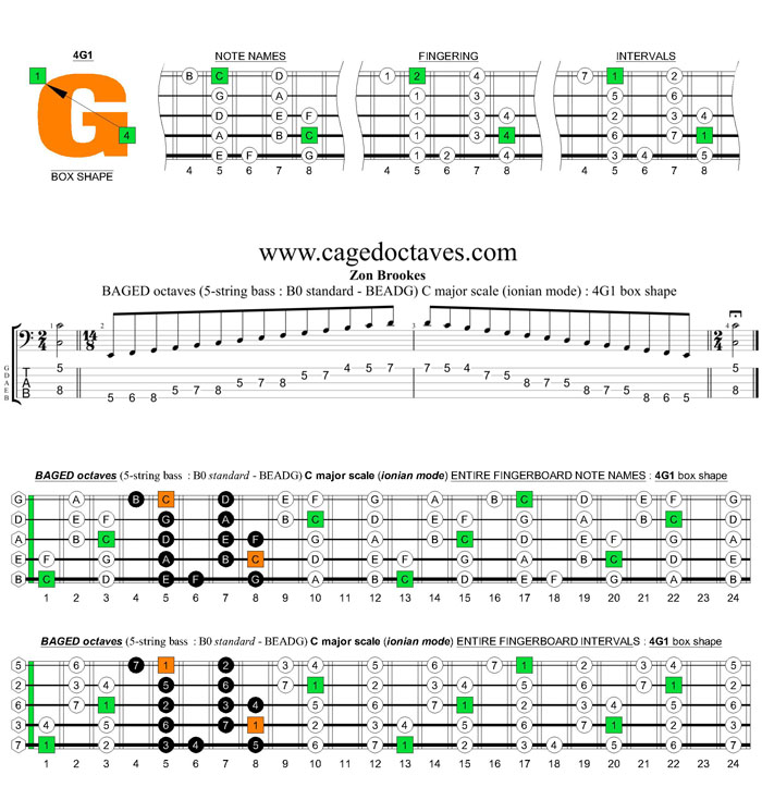 BAGED octaves (5-string bass : B0 standard - BEADG) C major scale (ionian mode) : 4G1 box shape