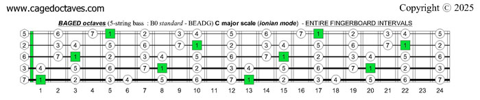 BAGED octaves (5-string bass : B0 standard - BEADG) C major scale (ionian mode) : entire fretboard intervals