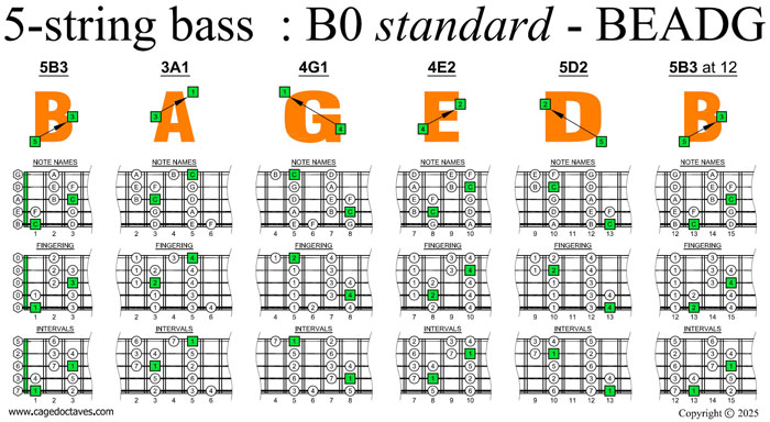 BAGED octaves (5-string bass : B0 standard - BEADG) C major scale (ionian mode) box shapes