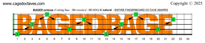 BAGED octaves (5-string bass : B0 standard - BEADG): C natural octaves