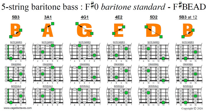 BAGED octaves 5-string baritone bass (F#0 baritone standard - F#BEAD) C major scale (ionian mode) box shapes
