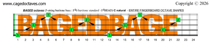 BAGED octaves 5-string baritone bass (F#0 baritone standard - F#BEAD): C natural octaves